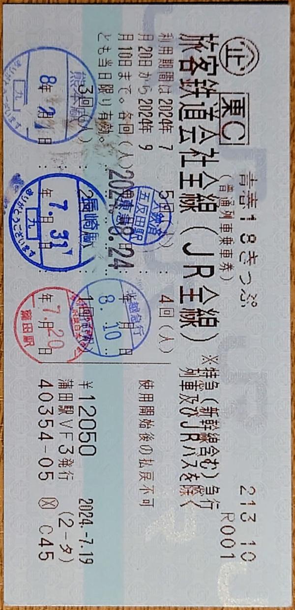 切符 青春18きっぷ 私鉄入鋏印